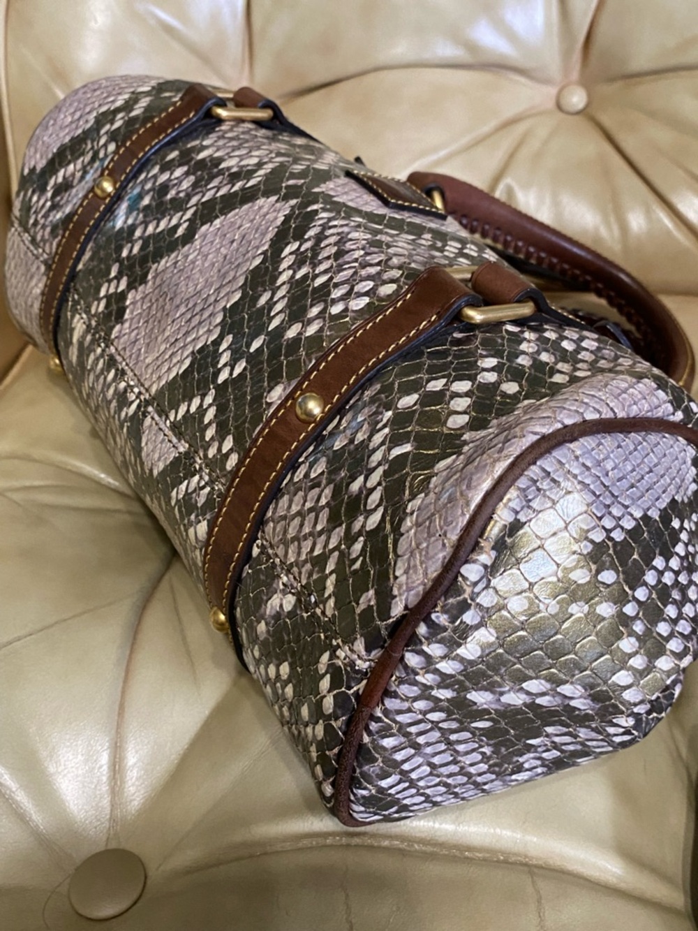 RARE Dooney & Bourke Python Satchel Florentine Gold/Green Leather - Picture 6 of 15